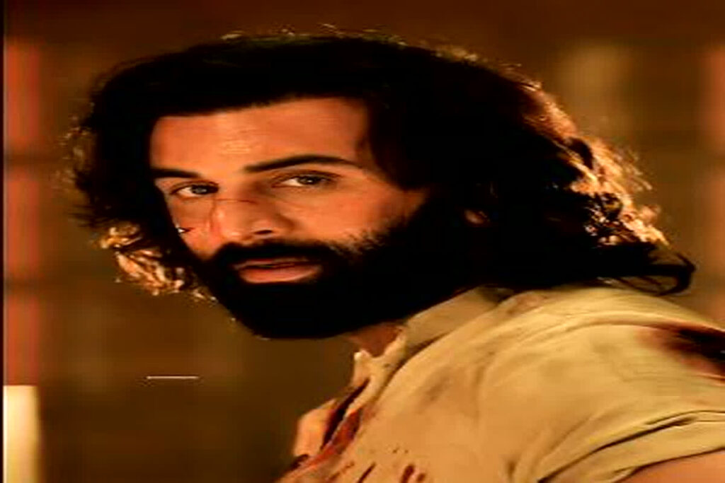 Animal Box Office Collection