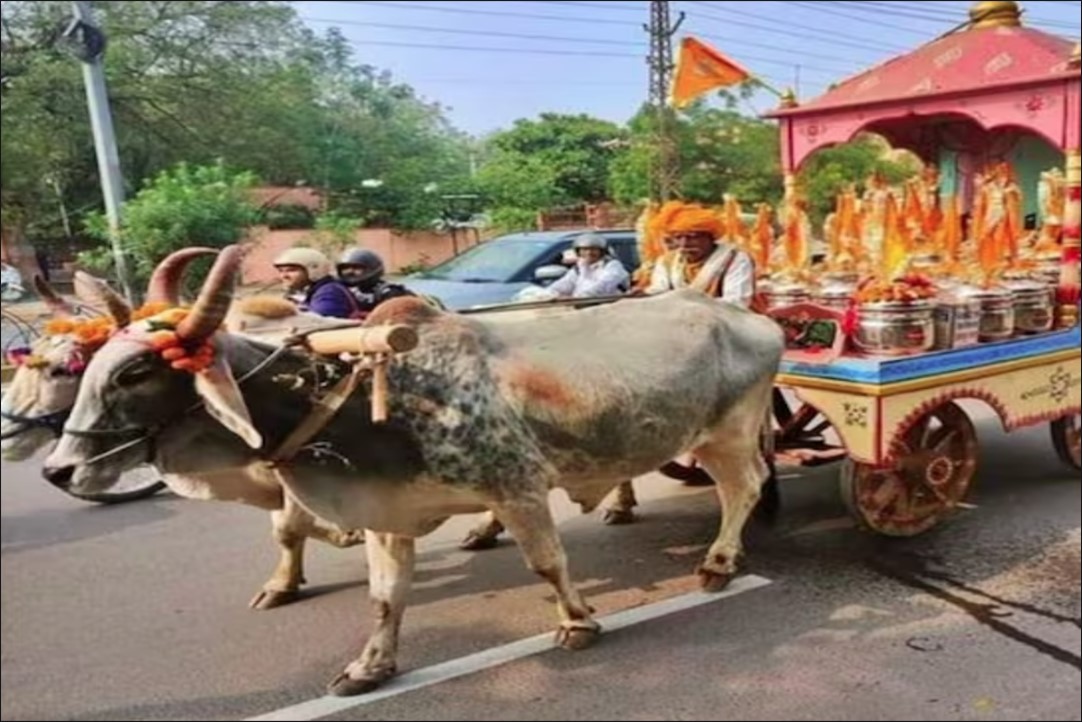 Rajasthan Desi Ghee For Ramlala: रामलला की प्राण प्रतिष्ठा और अखंड ज्योती के लिए राजस्थान से आया नजराना, बैलगाड़ी से अयोध्या पहुंचा 600 किलो देसी घी