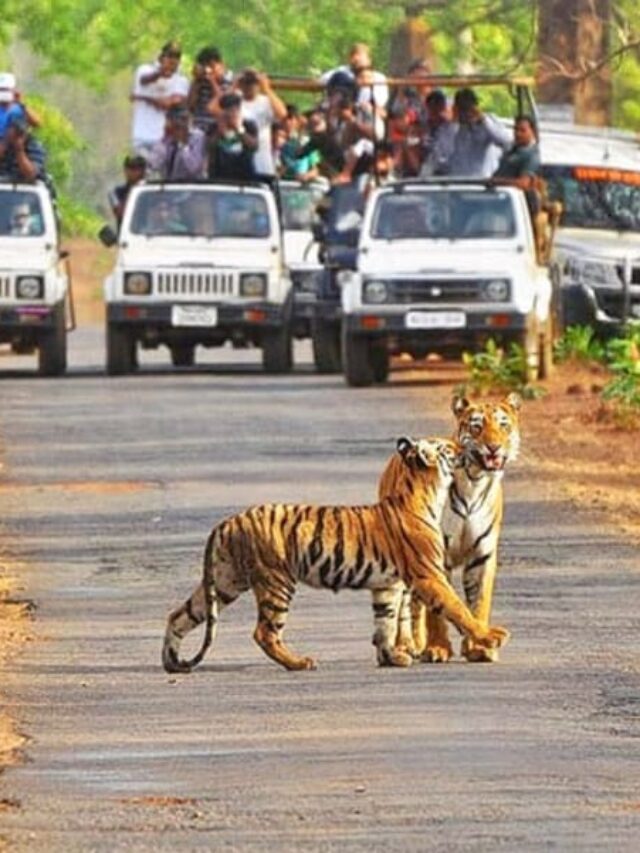 National Parks In Mp