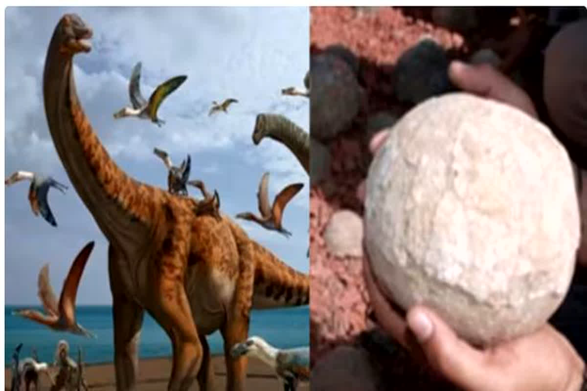 कुलदेवता’ मानकर पीढ़ियों से कर रहे थे पूजा, डायनासोर का अंडा निकला वह पत्थर