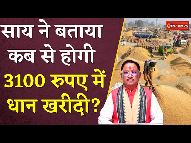 Vishnudeo Sai on Dhan Kharidi: CM Vishnudeo Sai ने बताया कब से होगी 3100 रुपए में धान खरीदी?
