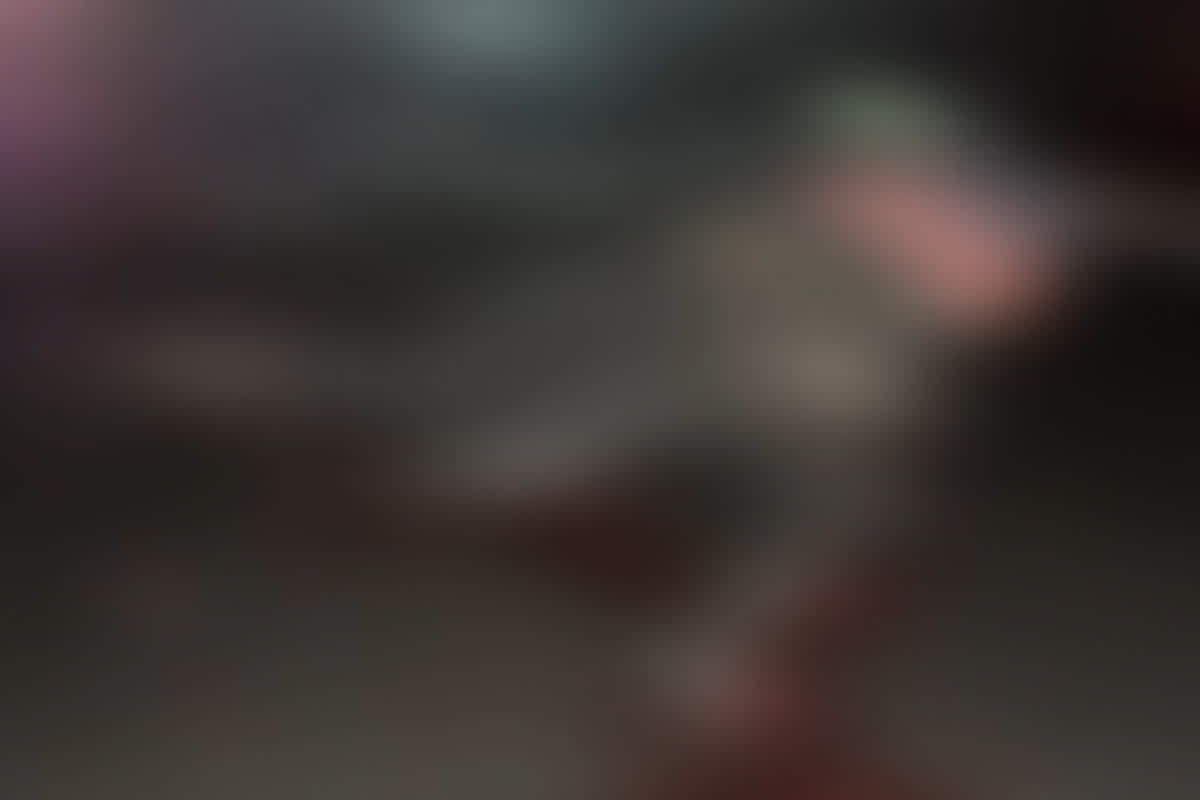 Korba Road Accident: कोयले से लोड ट्रेलर की चपेट में आने से व्यक्ति की मौत, सूचना मिलते ही पुलिस सहित घटना स्थल पहुंचे विधायक