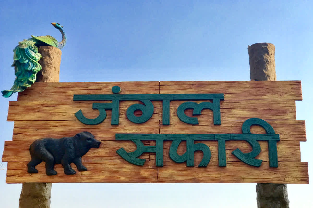 Jungle Safari: जंगल सफारी में हफ्तेभर में 17 से अधिक जानवरों की मौत, सामने आई ये बड़ी वजह…