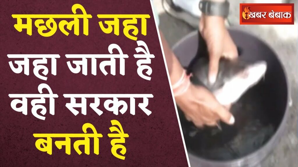 CG Election Result 2023