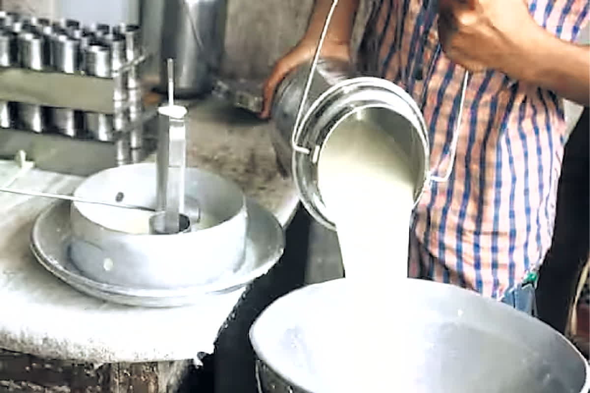 Milk Price in Pakistan Today: दूध के दाम में ताबड़तोड़ बढ़ोतरी, सीधे 10 रुपए हुआ महंगा, जानिए अब एक लीटर के लिए देना होगा कितना?