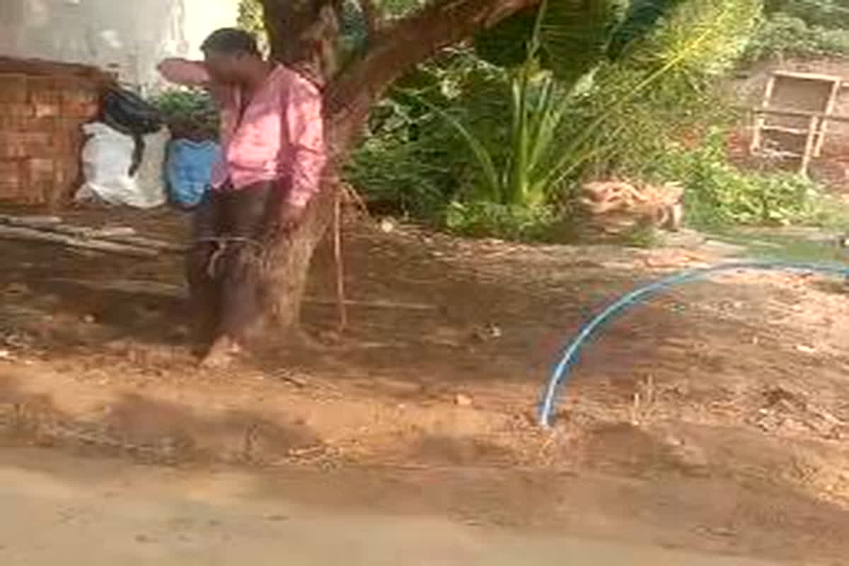 Morena News: ट्रांसफार्मर का न्यूट्रल केवल जोड़ने गए लाइनमैन के साथ ग्रामीणों ने की क्रुरता, पेड़ से बांधकर कर दी धुनाई, वीडियो हुआ वायरल