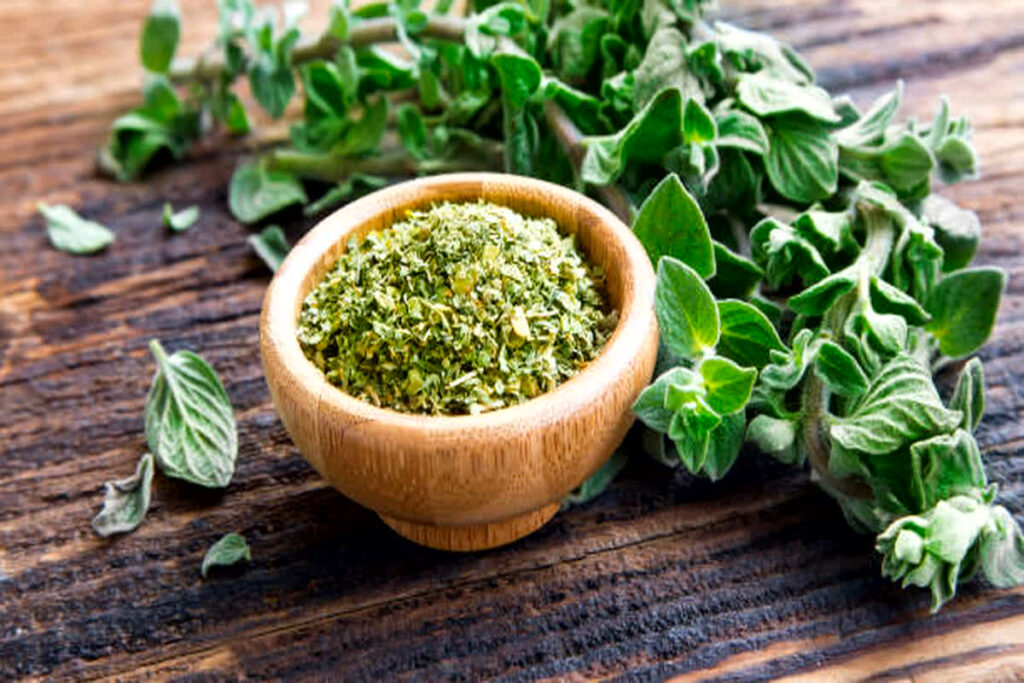 oregano natural antibiotic