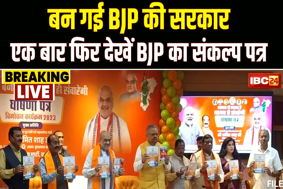 CG BJP Manifesto 2023: नई सरकार बनने के बाद क्या अपने वादे पूरे करेगी भाजपा? देखें संकल्प पत्र में मोदी की गारंटी…
