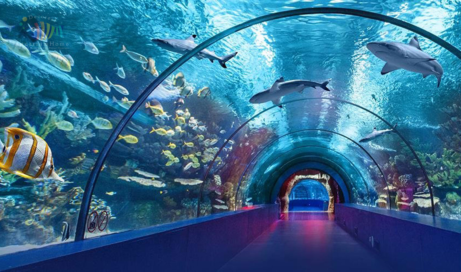 Fish  Aquarium Tunnel: OMG! 100 रुपए में 1 लाख से ज्यादा फिश, आज से पहले कभी नहीं किया होगा ऐसा अनुभव