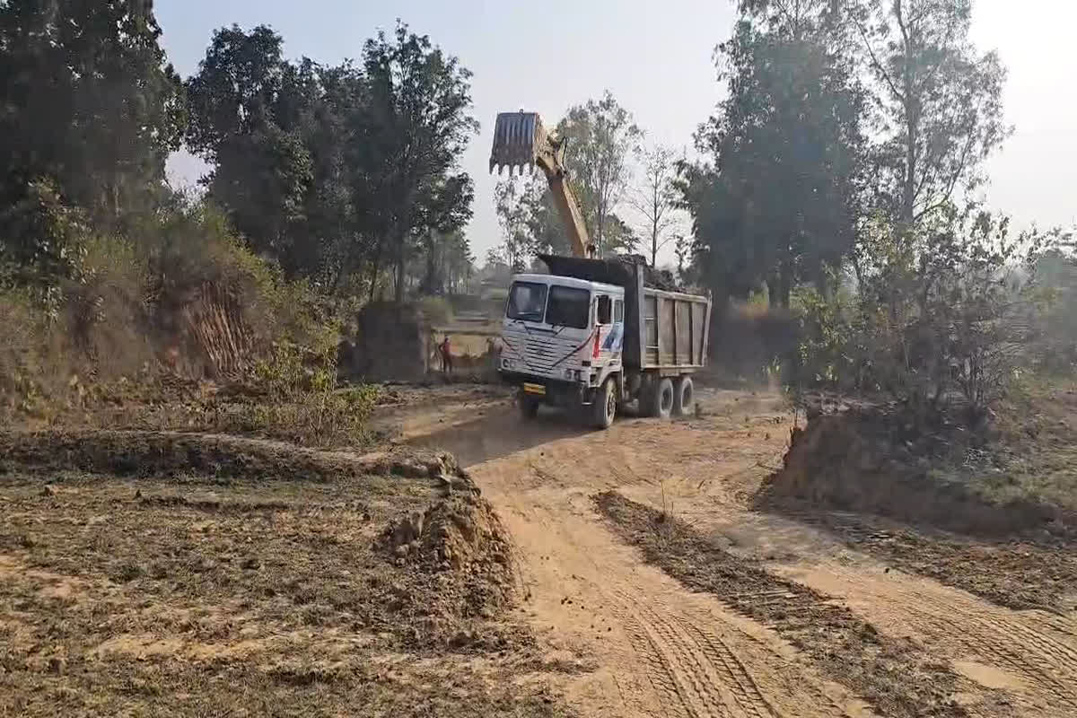 Pendra News: प्रशासन की नाक के नीचे पहुंचाया रेलवे की जमीन को नुकसान, बेशकीमती पेड़ों की हो रही अवैध कटाई, उठें कई सवाल