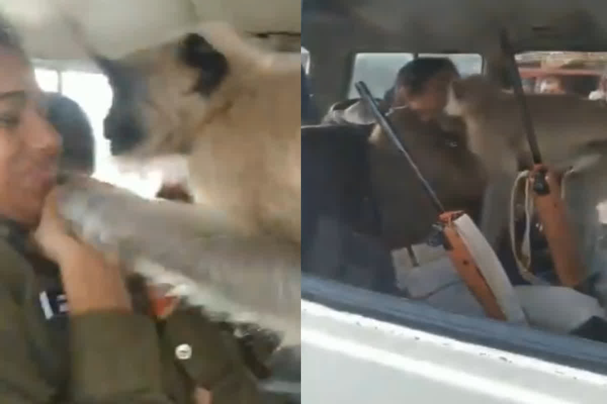 Monkey Misbehave with Lady Constable: बंदर ने कार के अंदर आकर महिला कॉन्स्टेबल से की ऐसी हरकत, देखते ही देखते वायरल हो गया वीडियो