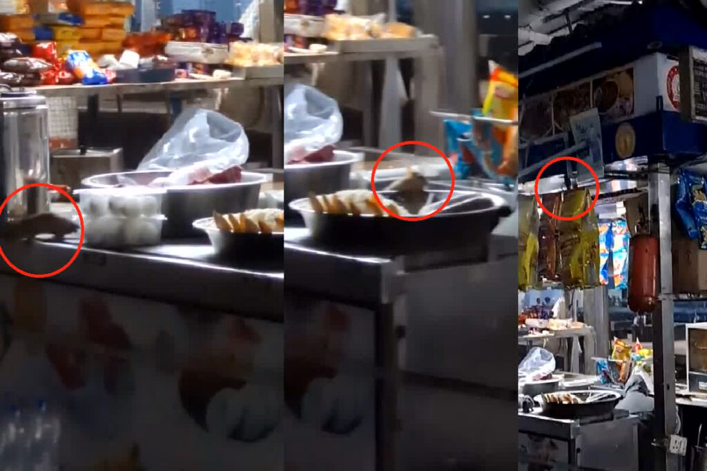 IRCTC Food Stall Video Viral