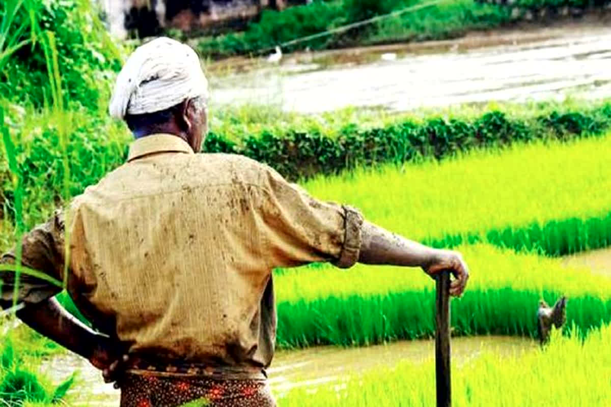 Agri Stack Scheme: किसानों के लिए चलने जा रहा बड़ा अभियान, सरकार ने शुरू की नई पहल, जानें क्या होंगे फायदे?