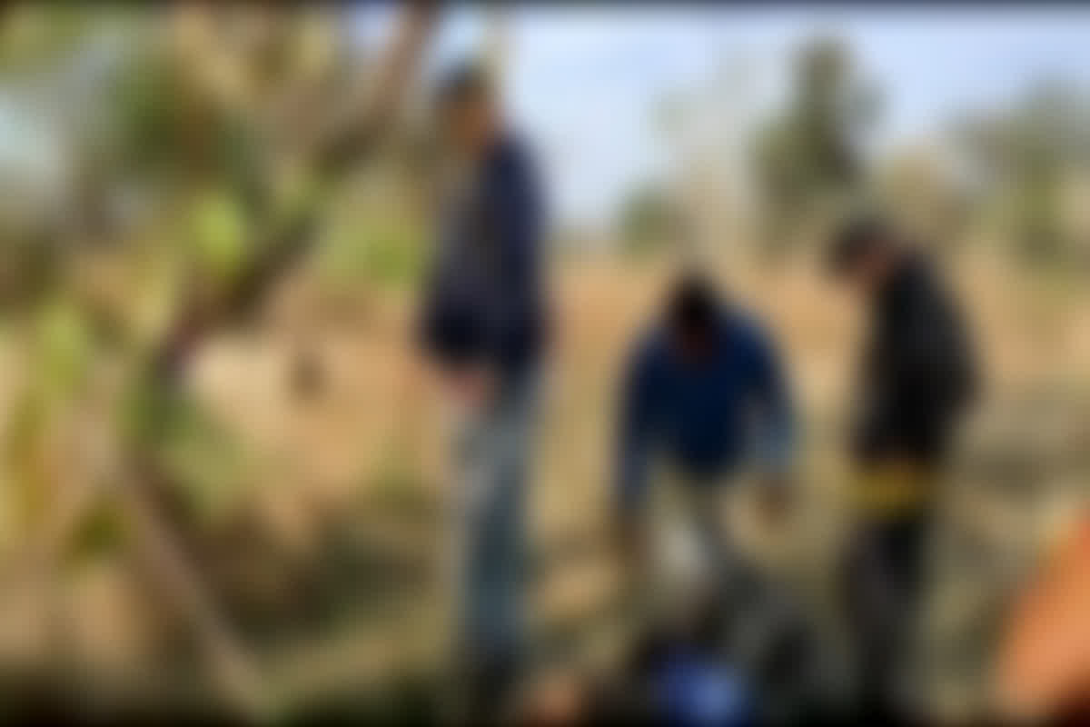 Pendra Teacher Suicide: गणतंत्र दिवस समारोह के बाद पेड़ से लटका मिला शिक्षक का शव, घटना का कारण अज्ञात