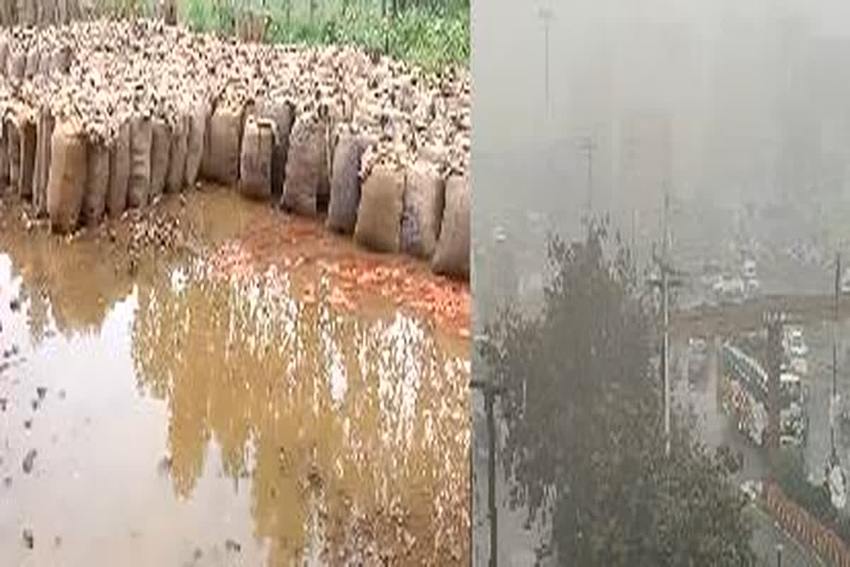 Jabalpur Weather Update: जिले में बदला मौसम का मिजाज, रूक-रूक कर हो रही बारिश ने बढ़ाई किसानों की चिंता, खेतों में लगे फसलों को हो रहा नुकसान