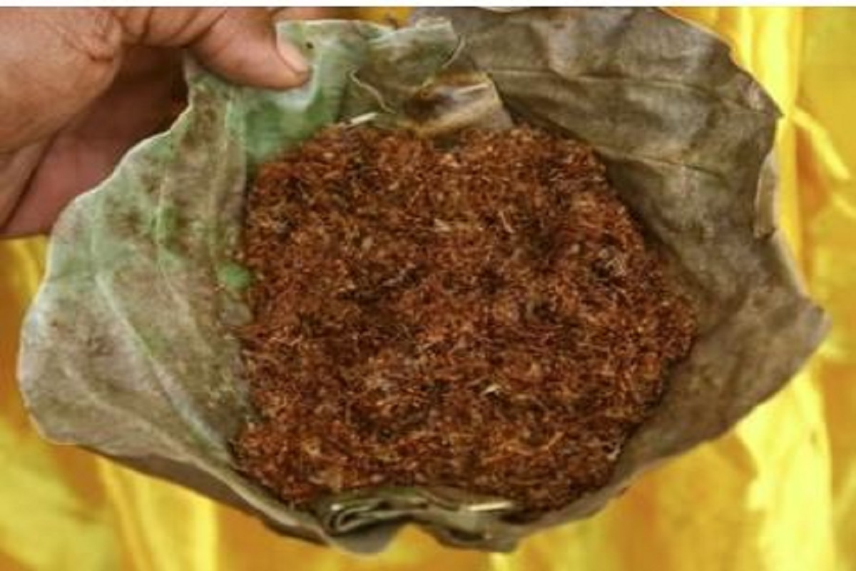 ओडिशा की लाल चींटी की चटनी को मिला GI टैग, छत्तीसगढ़ के बस्तर में सबसे ज्यादा उपयोगी, जीआई टैग पर उठ रहे सवाल