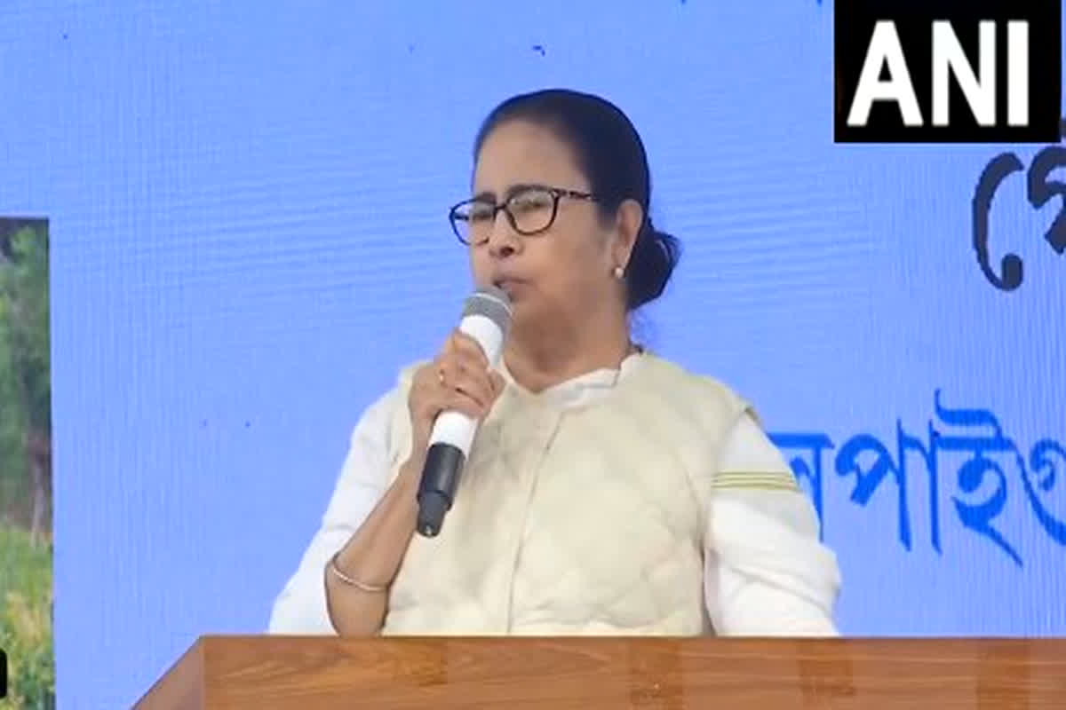 Mamata Banerjee: ‘हमारी कानूनी व्यवस्था में हस्तक्षेप न करें वरना…‘, ममता बनर्जी ने BSF को दी चेतावनी