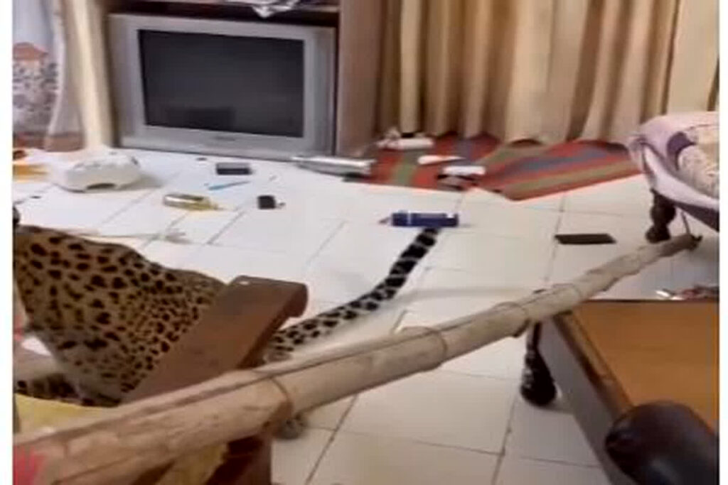 OYO Room Viral Video