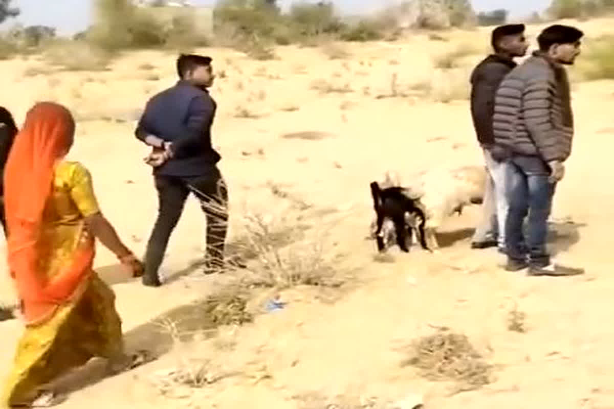 Rajasthan News: लोन की किस्त जमा नहीं करने पर फाइनेंस वाले ले गए बकरी, सोशल मीडिया पर वायरल हुआ वीडियो