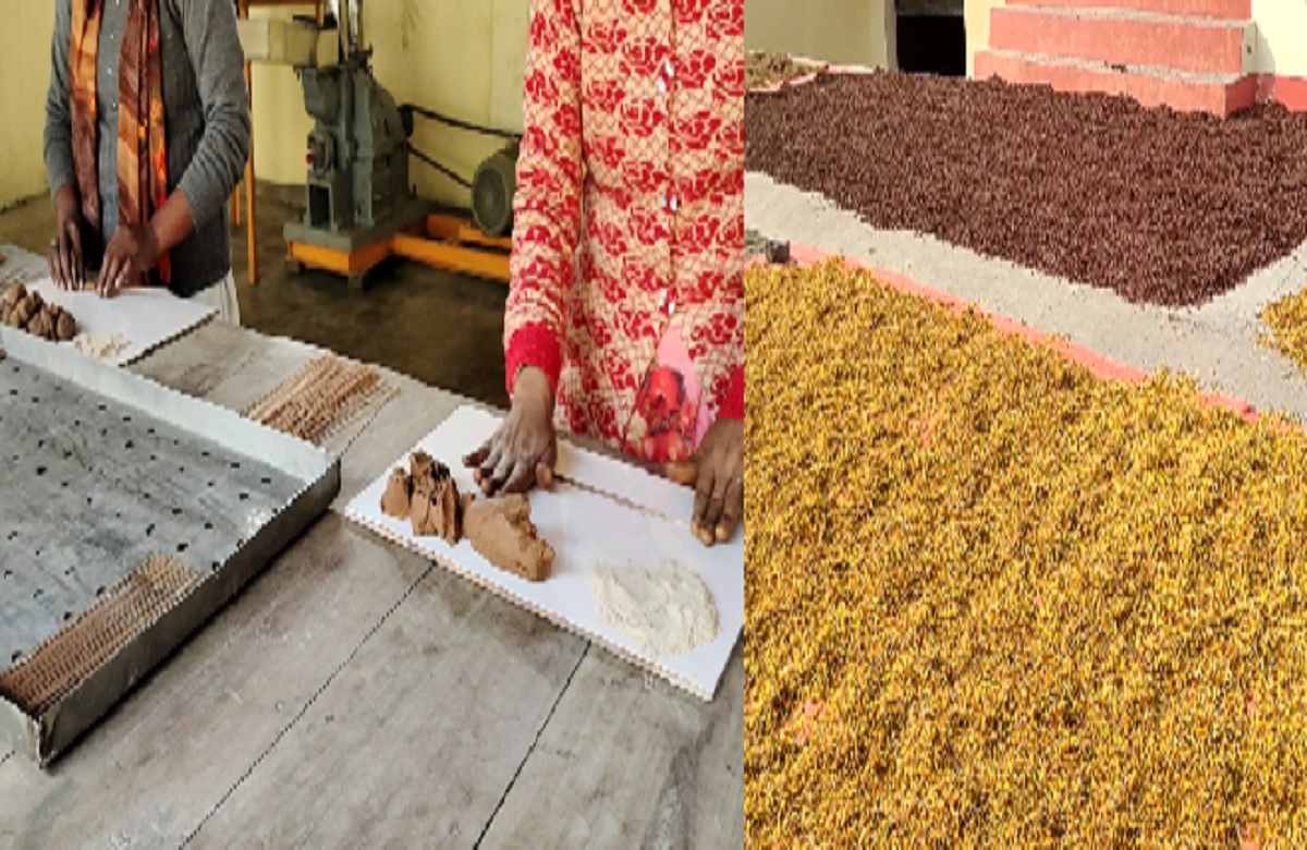 Phoolon Ki Agarbatti: राम लला पर चढ़ाए गए फूलों से बनाई जा रही अगरबत्ती, इस नई पहल से पैसे कमा कर लाखों महिलाएं बन रही स्वावलंबी