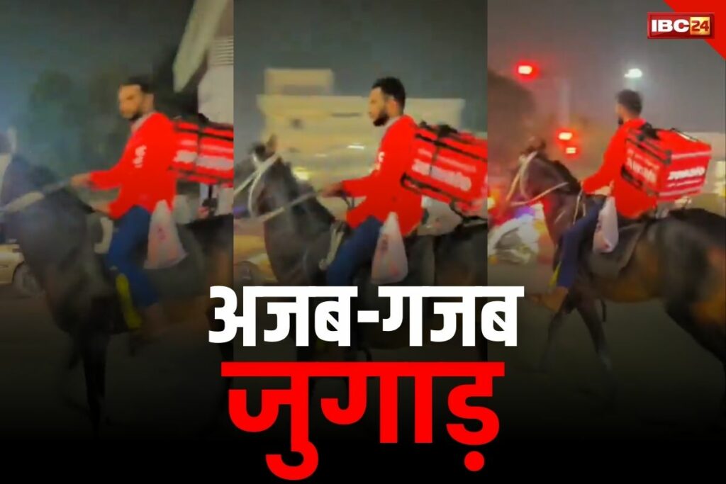 zomato boy horse riding