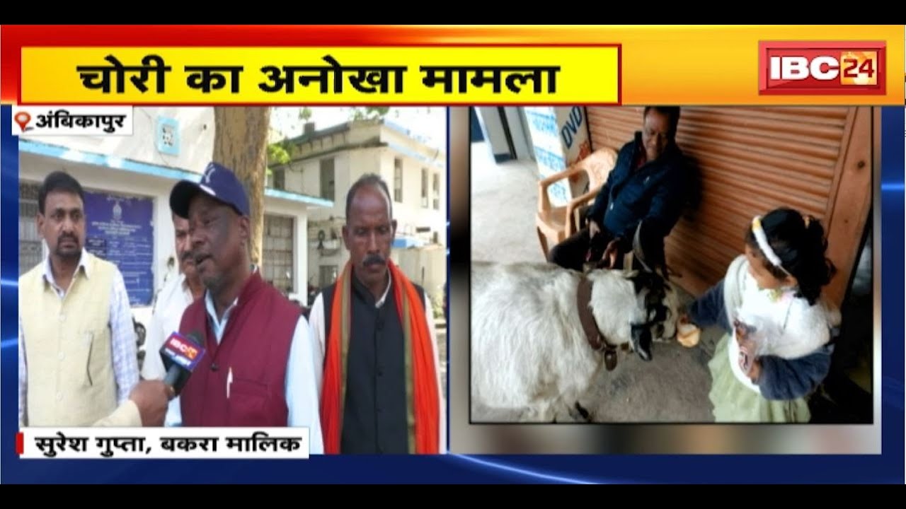 Ambikapur में चोरी का अनोखा मामला। बकरे को कार में डालकर ले गए चोर। शिकायत लेकर SP ऑफिस पहुंचा मालिक