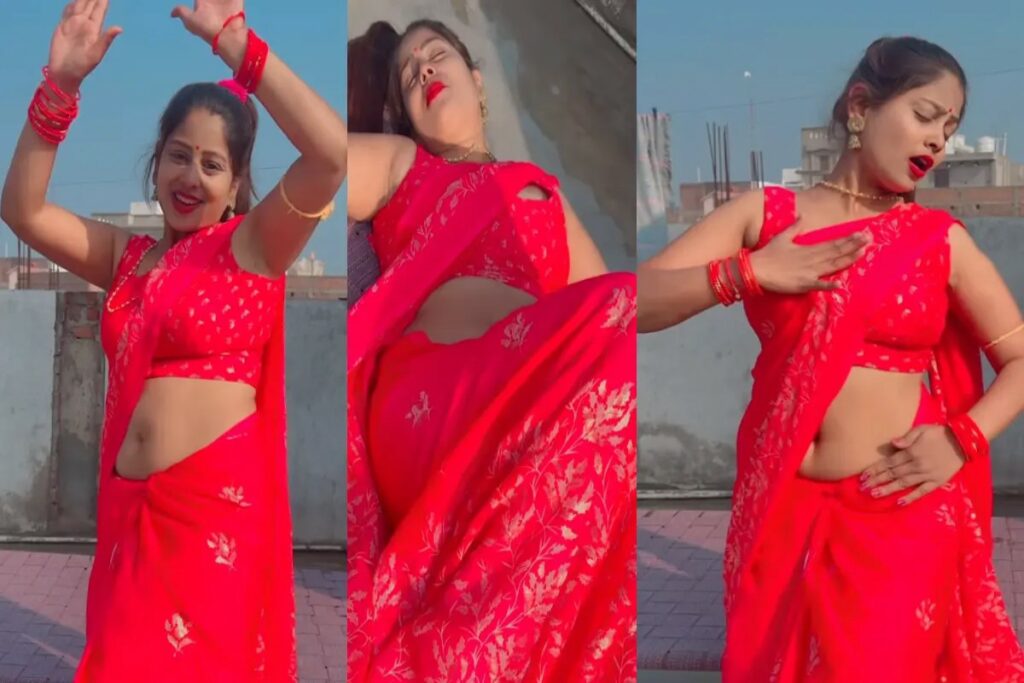 Desi Bhabhi Sexy Video