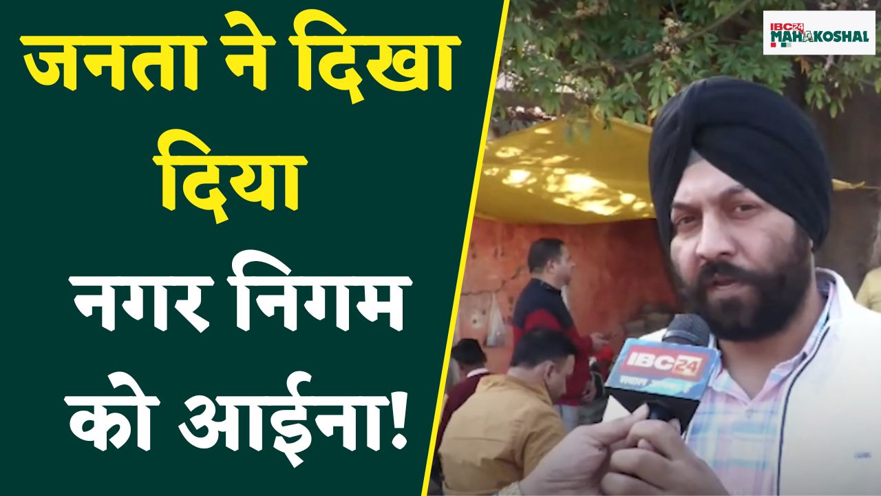 Jabalpur: जनता ने दिखा दिया नगर निगम को आईना। देखिए आवारा डॉग्स के आतंक पर क्या बोली जबलपुर की जनता।
