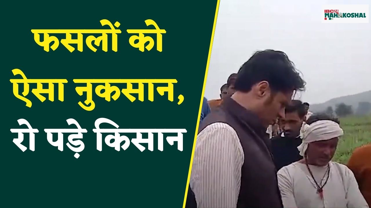 Katni: बेमौसम बारिश और ओलावृष्टि से फसलों को पहुंचा नुकसान, कलेक्टर को देख रो पड़ा किसान