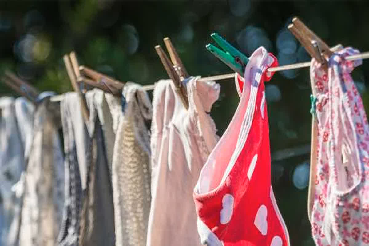 Undergarments Chori Hone ki Shikayat: महिला ने दर्ज कराई अंडरगारमेंट चोरी होने की शिकायत, पड़ोसी इंजीनियर पर लगाया सनसनीखेज आरोप