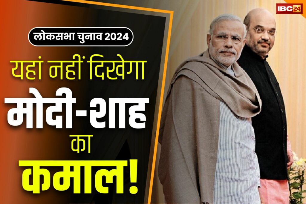 Lok Sabha Election Survey