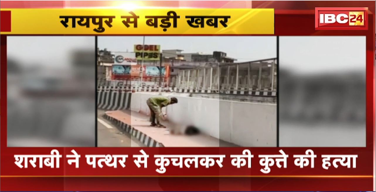 Raipur Crime News : शराबी ने पत्थर से कुचलकर की कुत्ते की हत्या। पत्थर से कुचलने का Video आया सामने