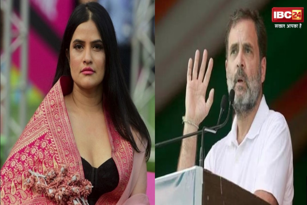 Rahul Gandhi Controversial Statement: एक बार फिर ट्रोल के शिकार हुए राहुल गांधी, इस बयान पर भड़की सोना महापात्रा