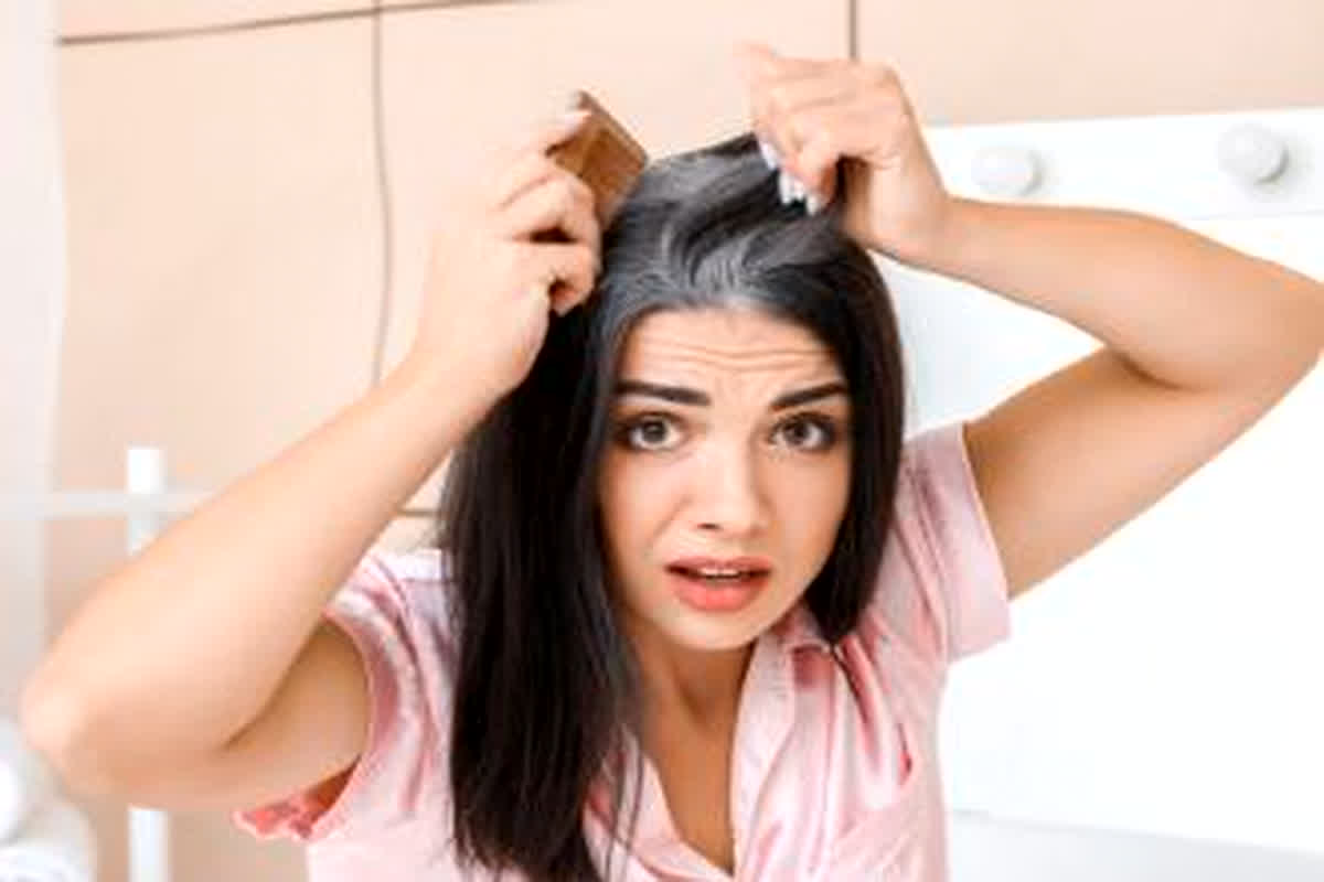 White Hair Problem Solution: क्या आप भी है असमय सफेद हो रहे बालों से परेशान?, तो अपनाएं ये तरीके, सफेद बालों से मिलेगा छुटकारा