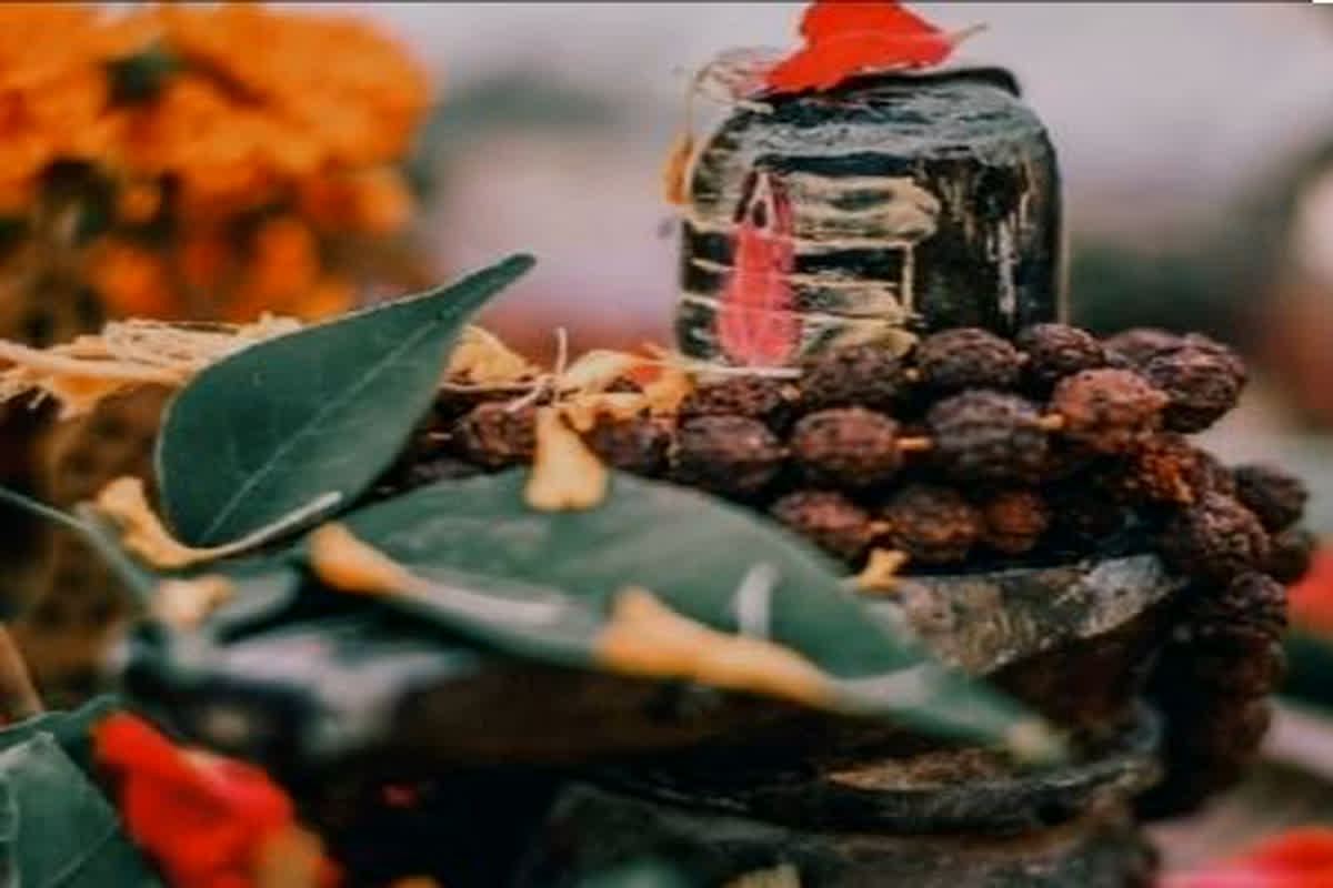 Maha Shivratri 2024: महाशिवरात्रि में जानें बेलपत्र से जुड़ी जरूरी बातें, क्या है इसके तोड़ने और चढ़ाने के नियम!