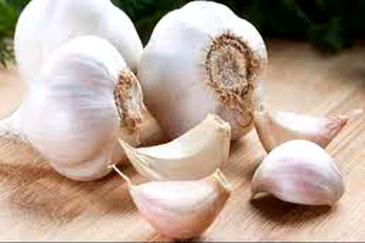 Garlic Price Hike: खाने में लहसुन का तड़का लगाना पड़ा महंगा, आसमान छूने लगे लहसुन के दाम, बढ़ते दामों ने बिगाड़ा सब्जी का जायका