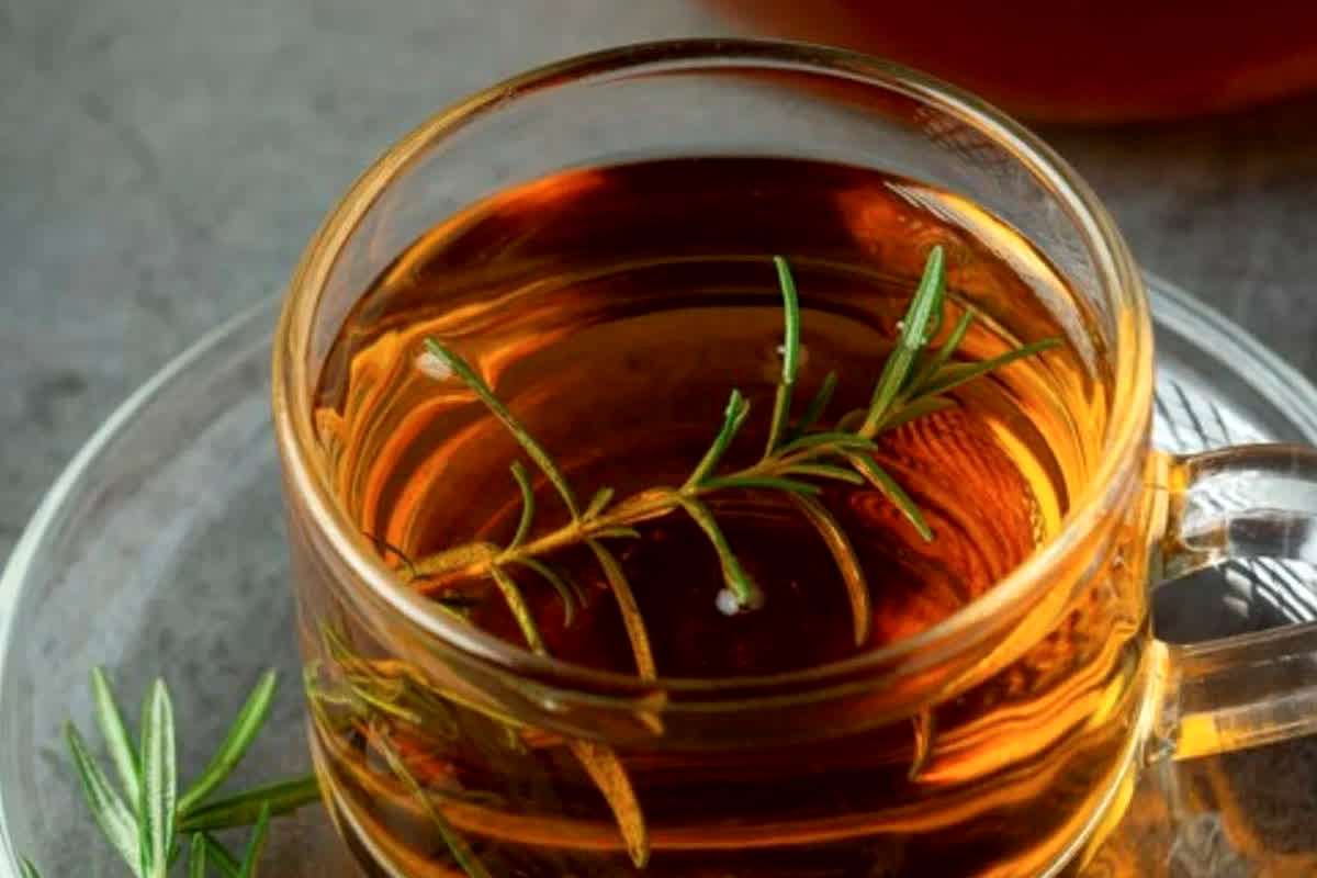 Benefits of Rosemary Plant: बालों को घना बनाएगा इस पौधे का पानी, बस इन बातों का रखें खास ध्यान…