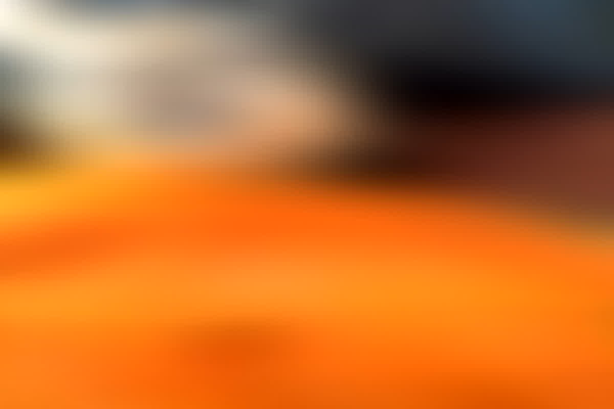 Morena Crime: पत्नी को मिली पति के कर्मों की सजा, आरोपियों ने गर्भवती महिला पर पेट्रोल डालकर लगाई आग, जानें क्या है मामला