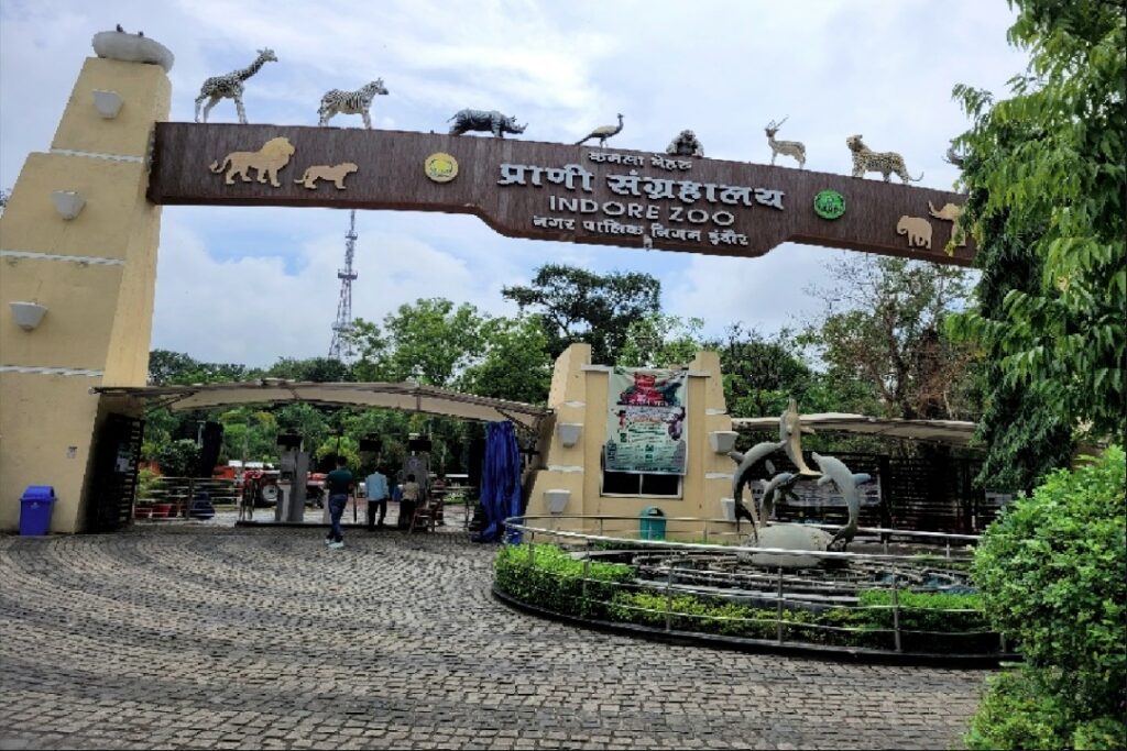 Jungle Safari in Indore Zoo