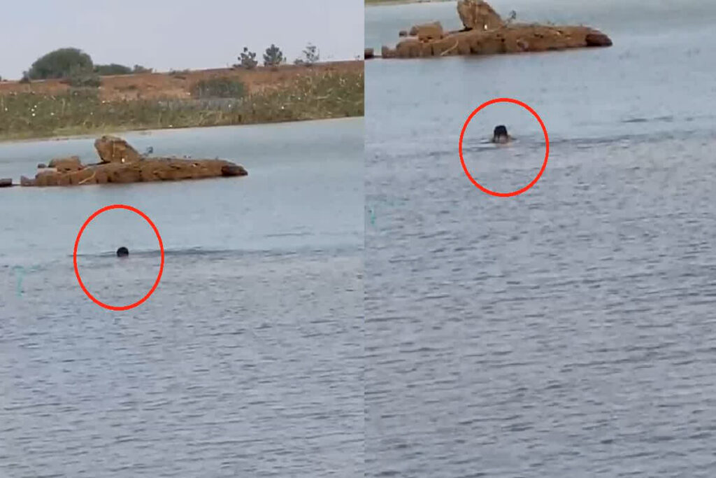 Three students drowned in Khuteri Dam