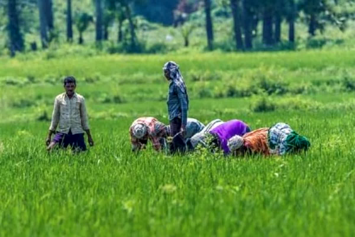 Loans waived of all farmers