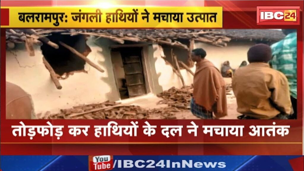 Balrampur Elephant Attack