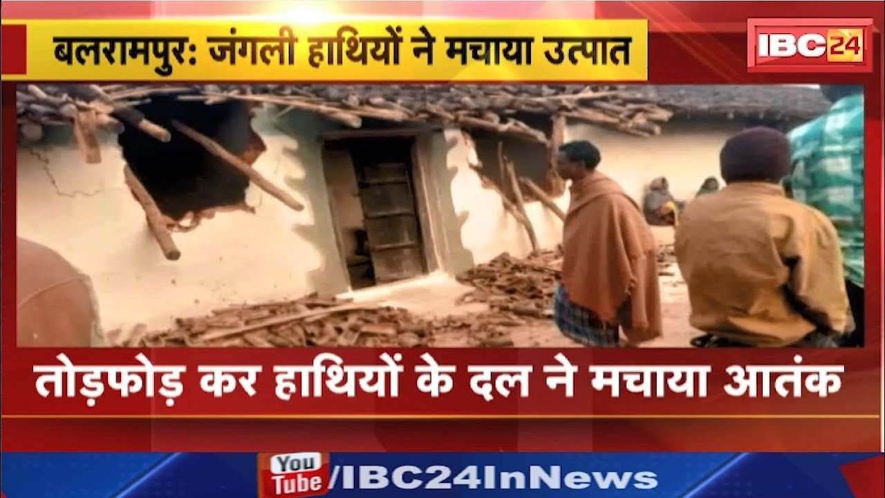 Balrampur Elephant Attack : हाथियों ने घर तोड़कर अनाज किया चट | जमकर मचाया उत्पात