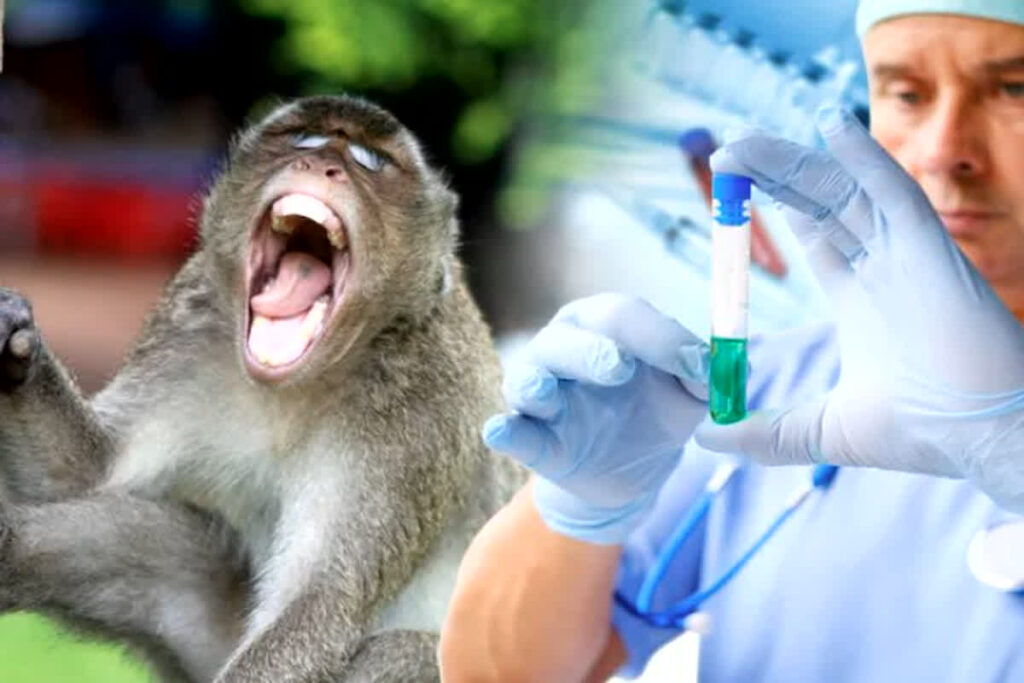 Four people died due to monkey fever