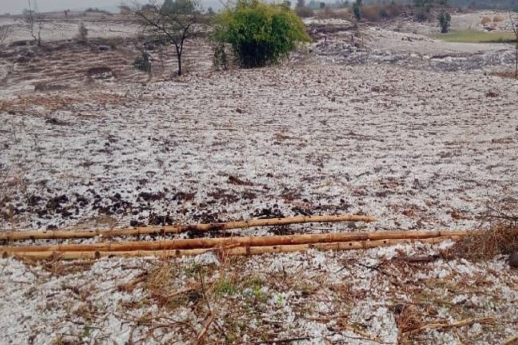 Hail fell heavily in Chhattisgarh