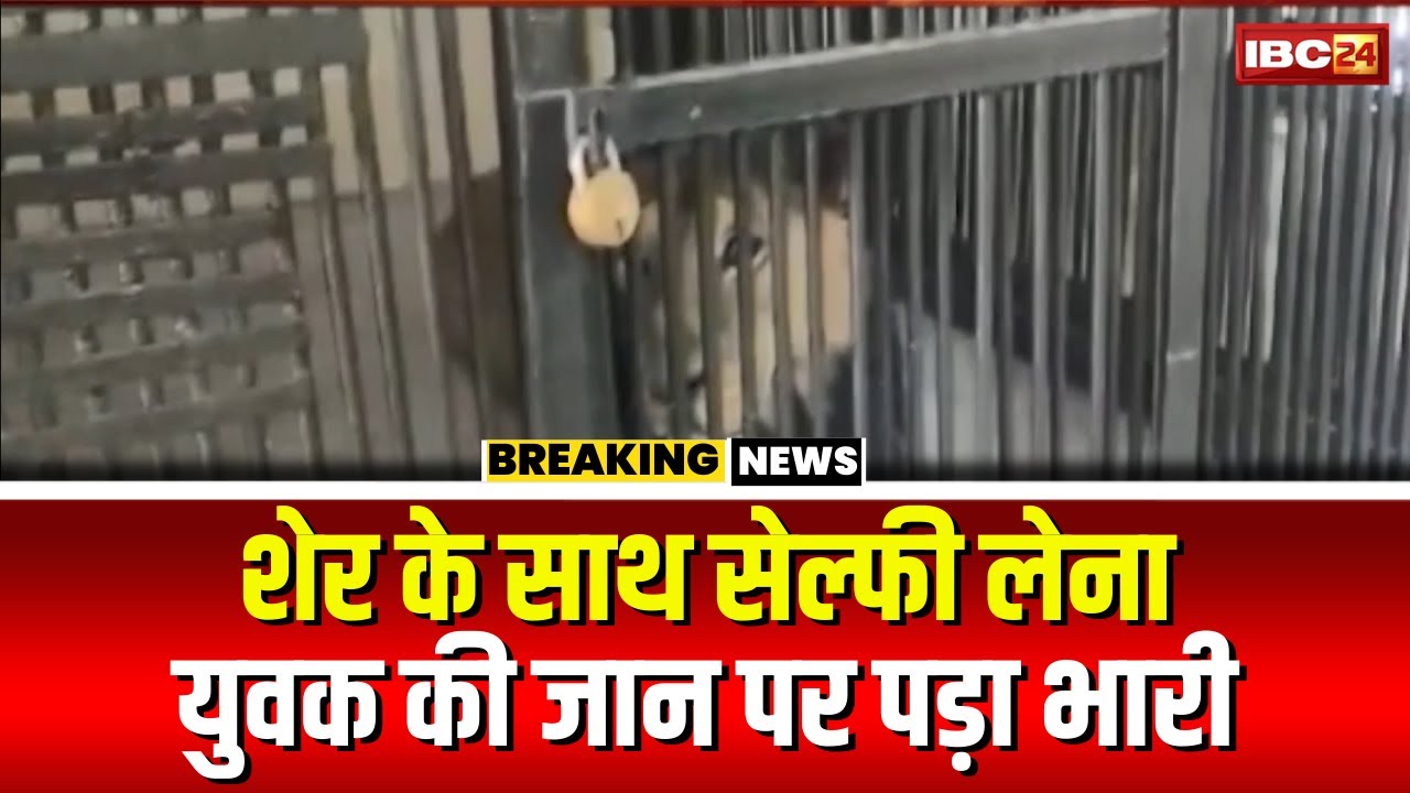 Tirupati News: शेर के साथ सेल्फी लेना युवक को पड़ा महंगा। शेर ने किया युवक पर हमला। फिर..