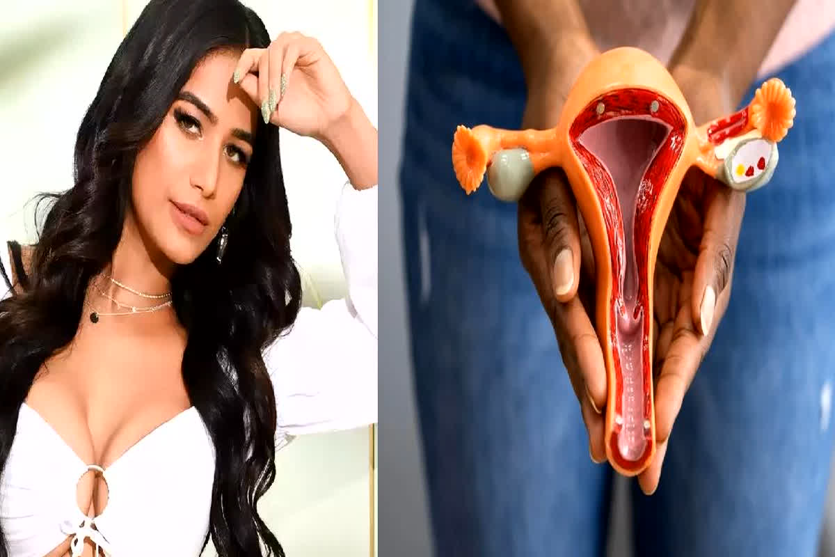 Cervical Cancer: सर्वाइकल कैंसर के इन लक्षणों से नहीं निकल पाई पूनम पांडे, गलती से भी आप न करें नजरअंदाज