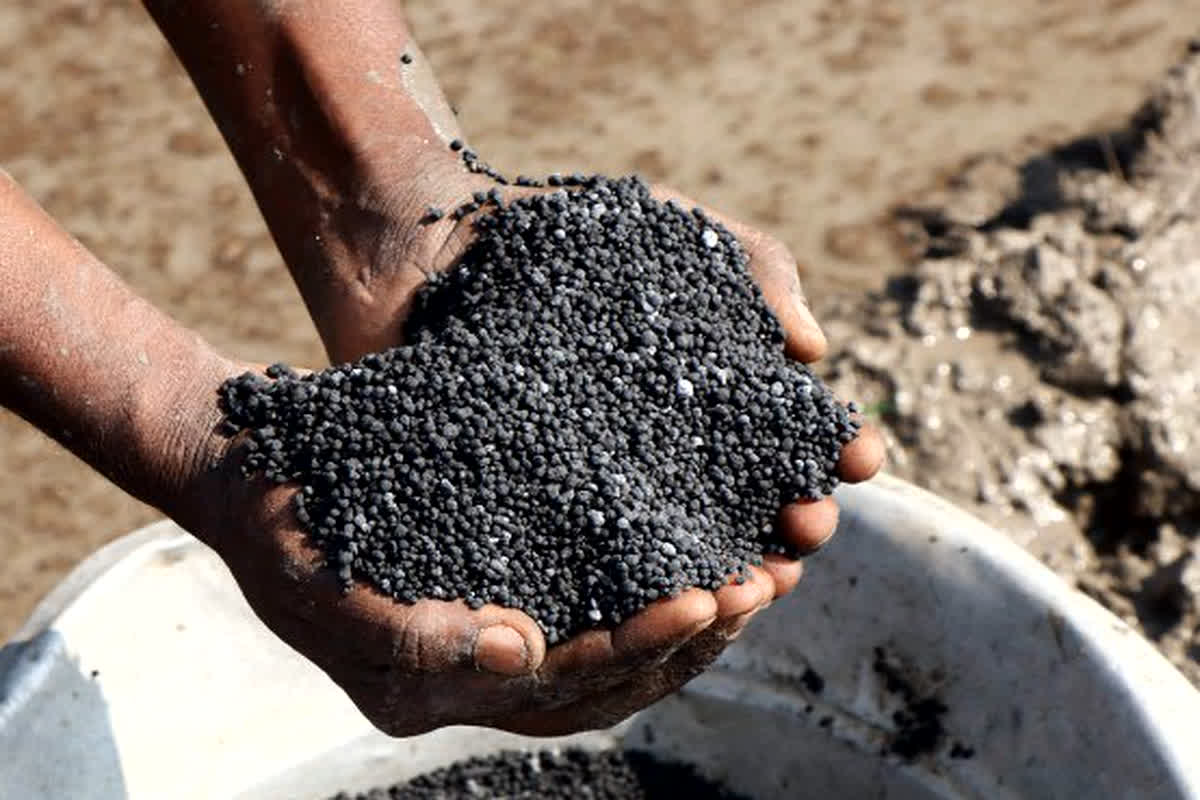 किसान आंदोलन के बीच सरकार का बड़ा फैसला, जल्द सस्ता हो सकता है पोटाश!