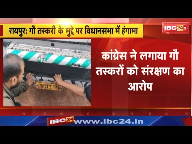 CG Budget Session 2024 8th Day : सदन में जमकर हुआ हंगामा | विपक्ष ने लगाए गौ हत्या बंद करो के नारे