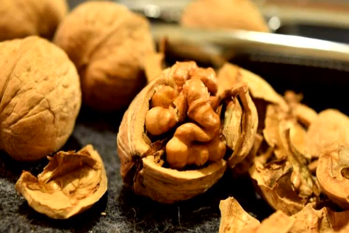 Benefits Of Walnuts: अगर हाई बीपी से हैं परेशान तो डाइट में शामिल करें ये चीज, मिलेंगे गजब के फायदे…